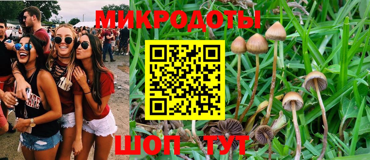 Галлюциногенные грибы MAGIC MUSHROOMS Алексин